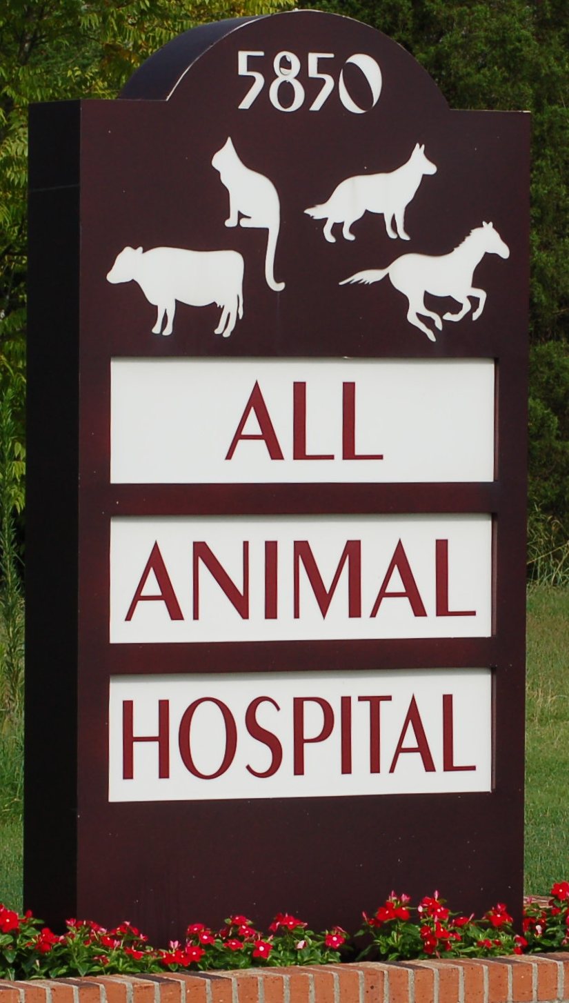 All Animal Hospital » Virtual Tour